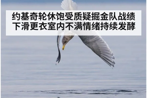 约基奇轮休饱受质疑掘金队战绩下滑更衣室内不满情绪持续发酵